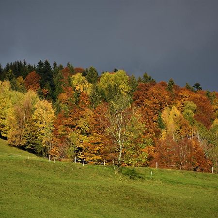 Ferienhaus Brittenberg Schwarzenberg im Bregenzerwald Exteriör bild